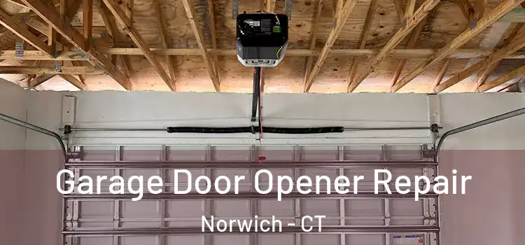 Garage Door Opener Repair Norwich - CT