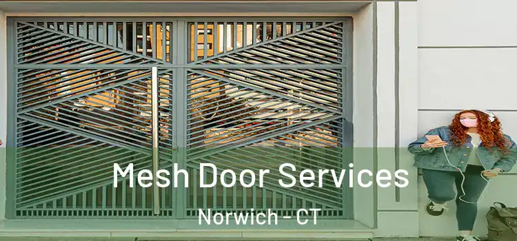 Mesh Door Services Norwich - CT